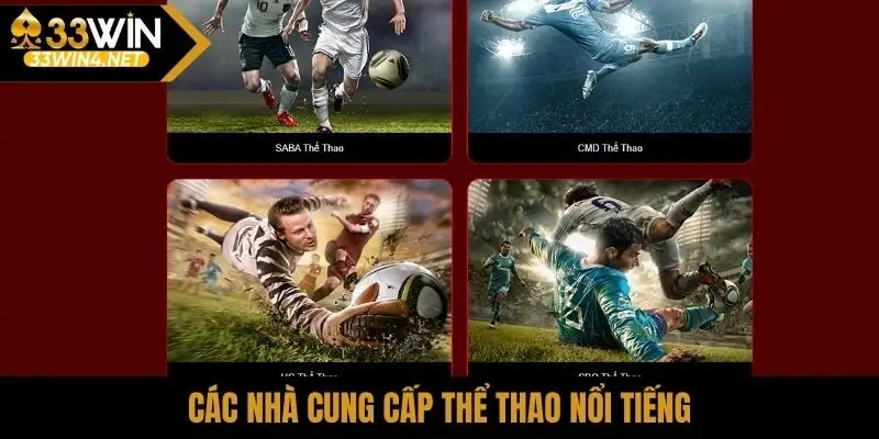 Các nhà cung cấp thể thao nổi tiếng