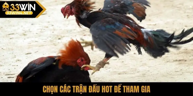 Chọn các trận đấu HOT để tham gia