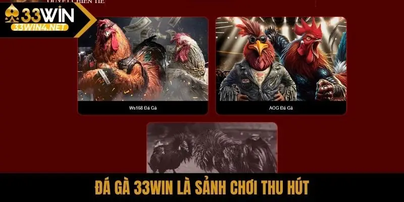 Đá gà 33Win là sảnh chơi thu hút